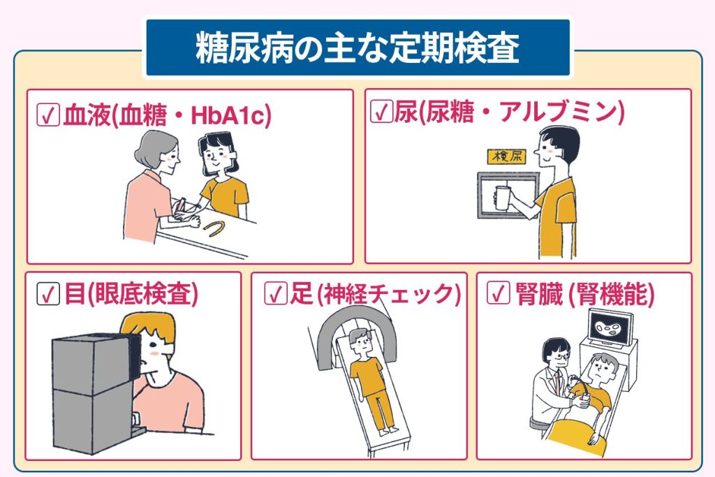 糖尿病の主な定期検査
