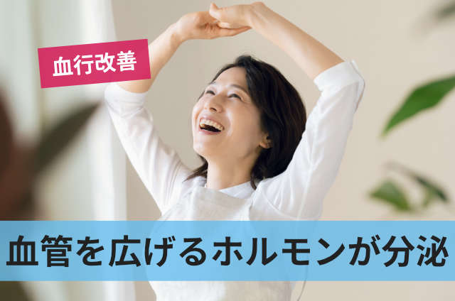 血管を広げるホルモンが分泌