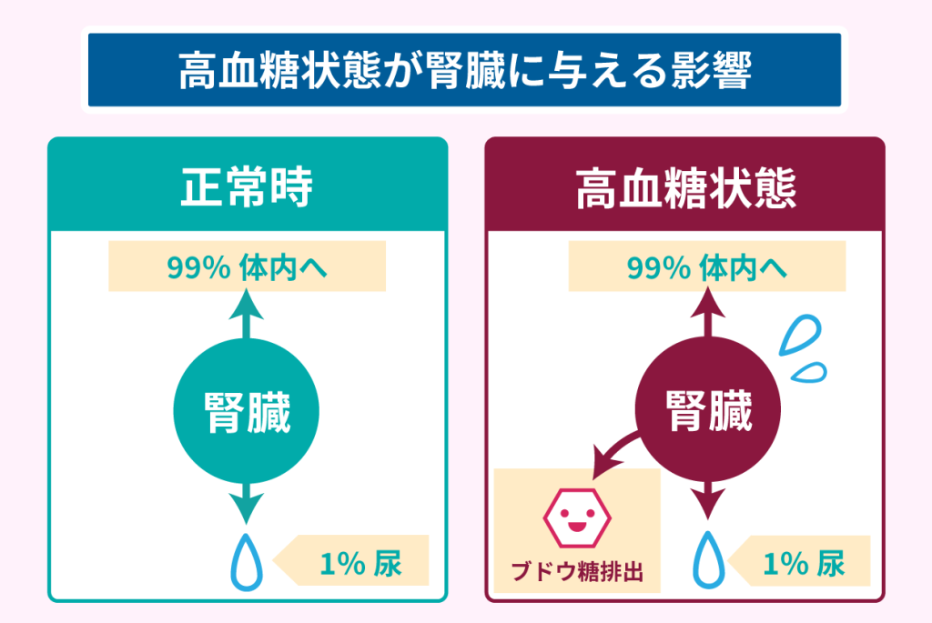高血糖状態が腎臓に与える影響