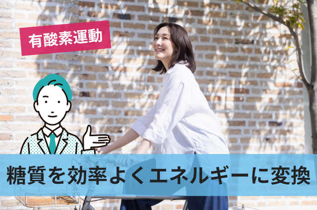 糖質を効率よくエネルギーに変換