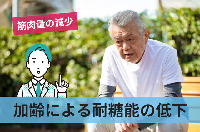 加齢による耐糖能の低下