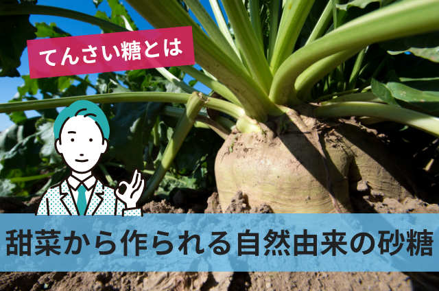 甜菜から作られる自然由来の砂糖
