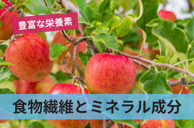 食物繊維とミネラル成分