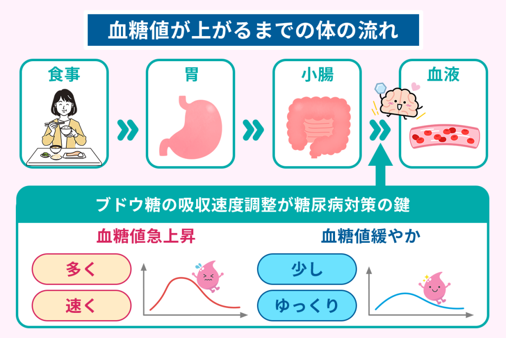 糖質の吸収をおさえる方法 糖質の吸収をおさえる方法 CARBOFF(カーボフ)の通販 by なっち's