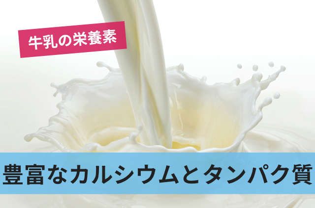 豊富なカルシウムとタンパク質