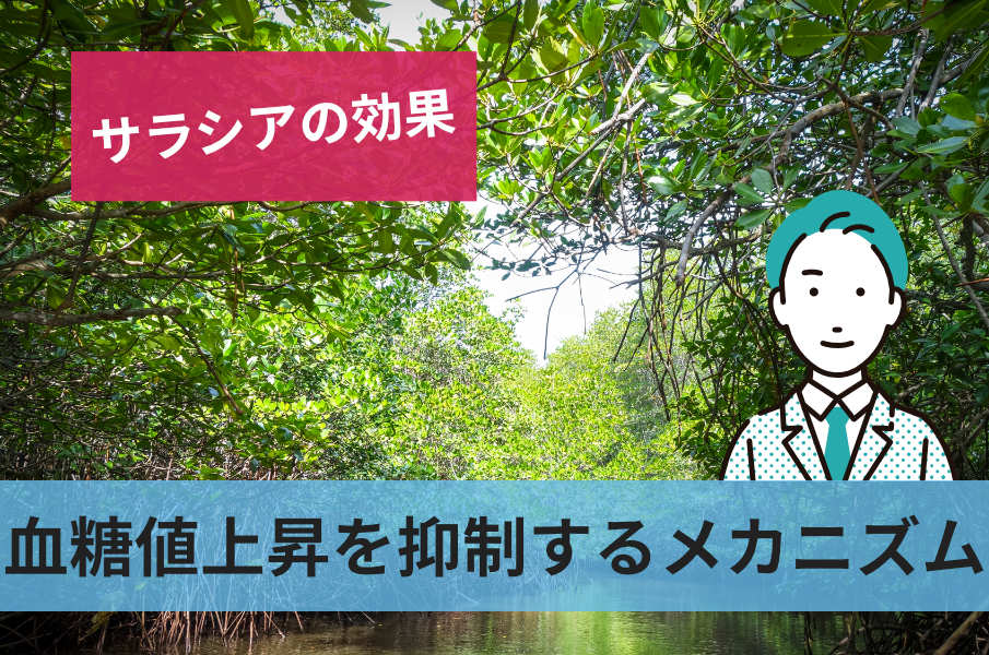 血糖値上昇を抑制するメカニズム