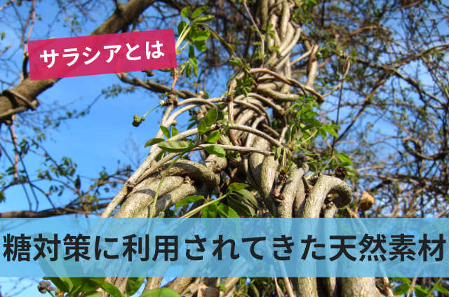 糖対策に利用されてきた天然素材