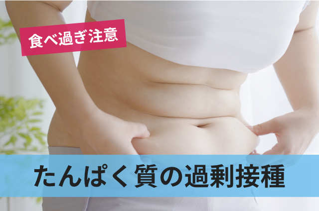 たんぱく質の過剰接種