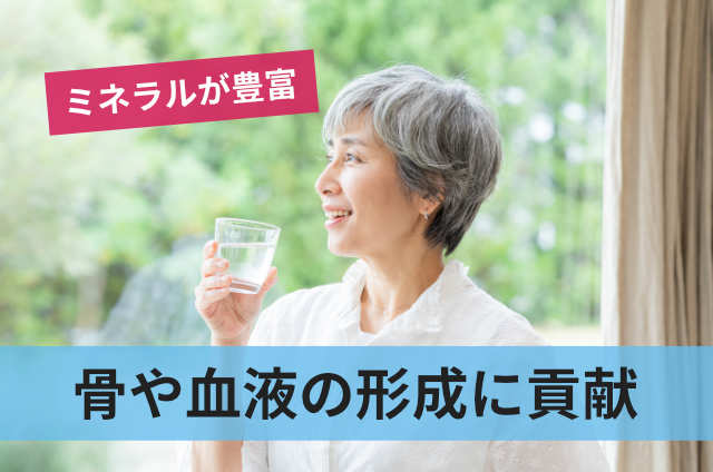 骨や血液の形成に貢献