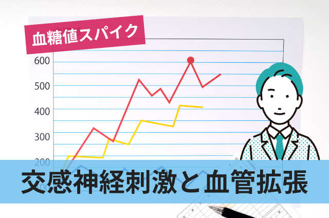 交感神経刺激と血管拡張