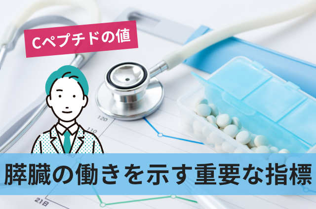 膵臓の働きを示す重要な指標