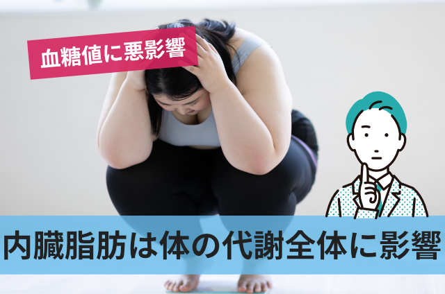 内臓脂肪は体の代謝全体に影響