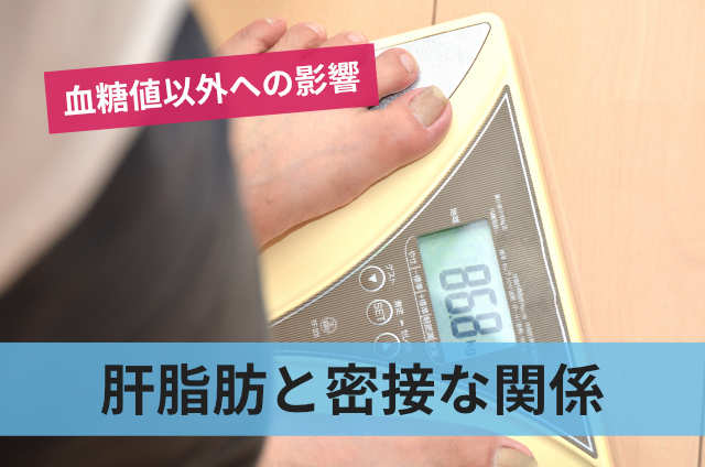 脂肪肝と密接な関係