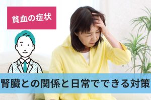 腎臓との関係と日常でできる対策