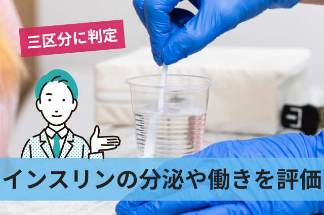 インスリンの分泌や働きを評価