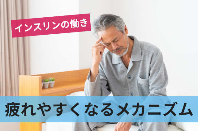 疲れやすくなるメカニズム