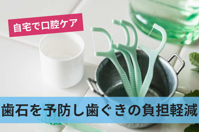 歯石を予防し歯ぐきの負担軽減